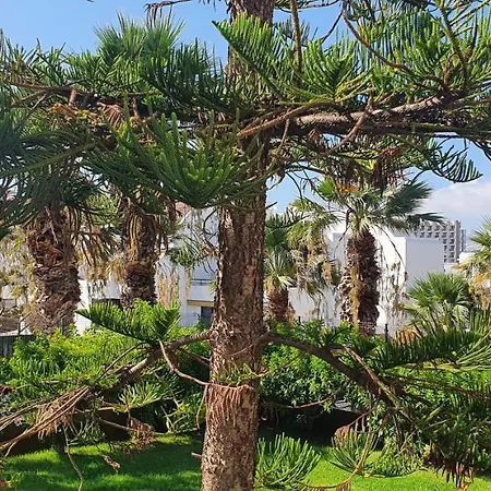 Adults Only Sunny Quiet In Center Of Americas Апартаменты