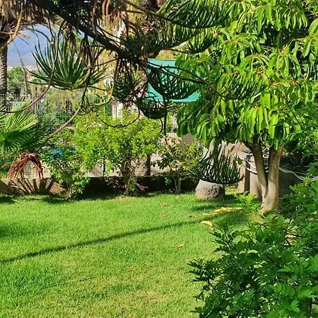 Апартаменты Adults Only Sunny Quiet In Center Of Americas