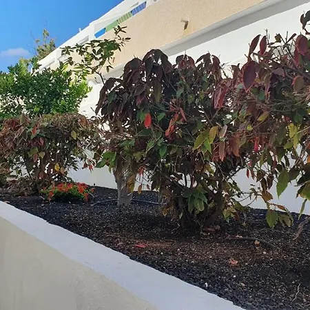 Апартаменты Adults Only Sunny Quiet In Center Of Americas *