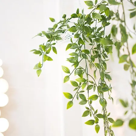 Adults Only Sunny Quiet In Center Of Americas Арона