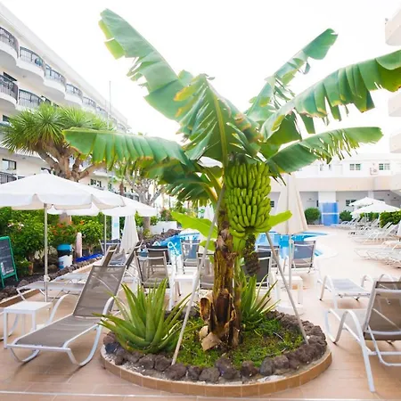 Adults Only Sunny Quiet In Center Of Americas