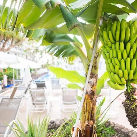 Апартаменты Adults Only Sunny Quiet In Center Of Americas Арона